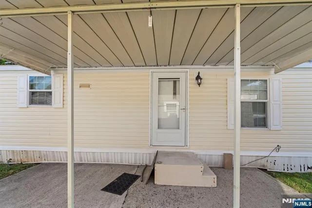 a view of a backyard with plants and large tree