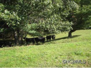 660 Tom Rogers Road Brevard, NC 28712 - Photo 12 of 12 Gallery Image 12