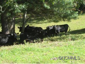 660 Tom Rogers Road Brevard, NC 28712 - Photo 6 of 12 Gallery Image 6