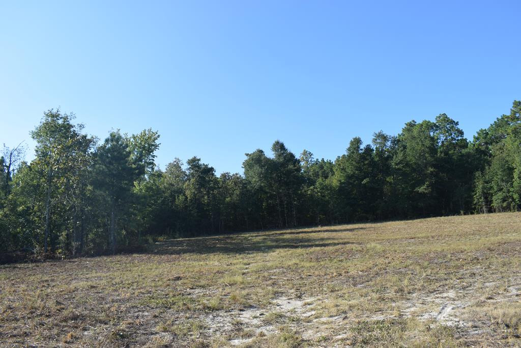 587 Riding Ridge Court Aiken, SC 29801 - Photo 3 of 9