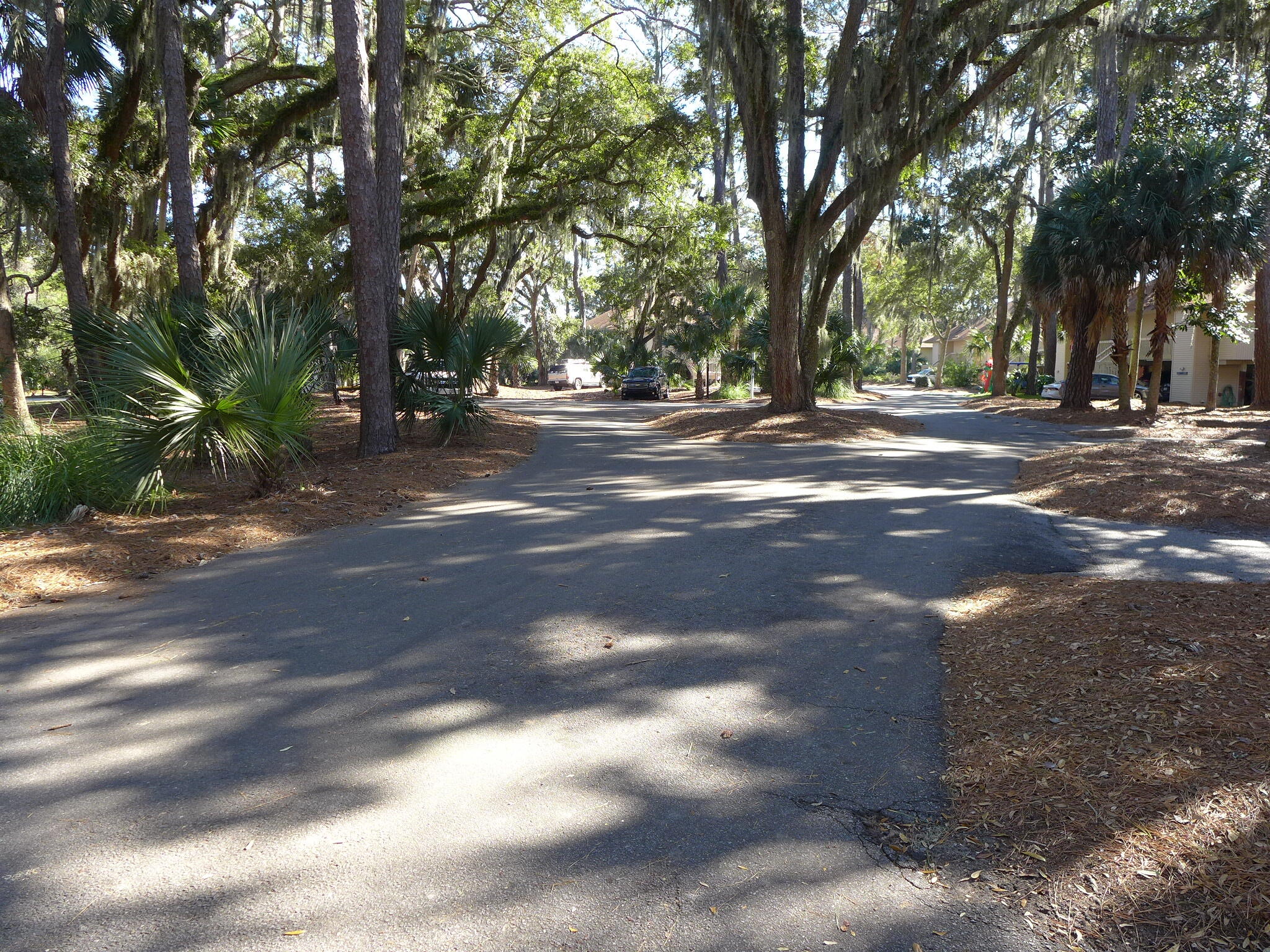 845 Club Cottage Road Edisto Island, SC 29438 - Photo 2 of 34 P1120116