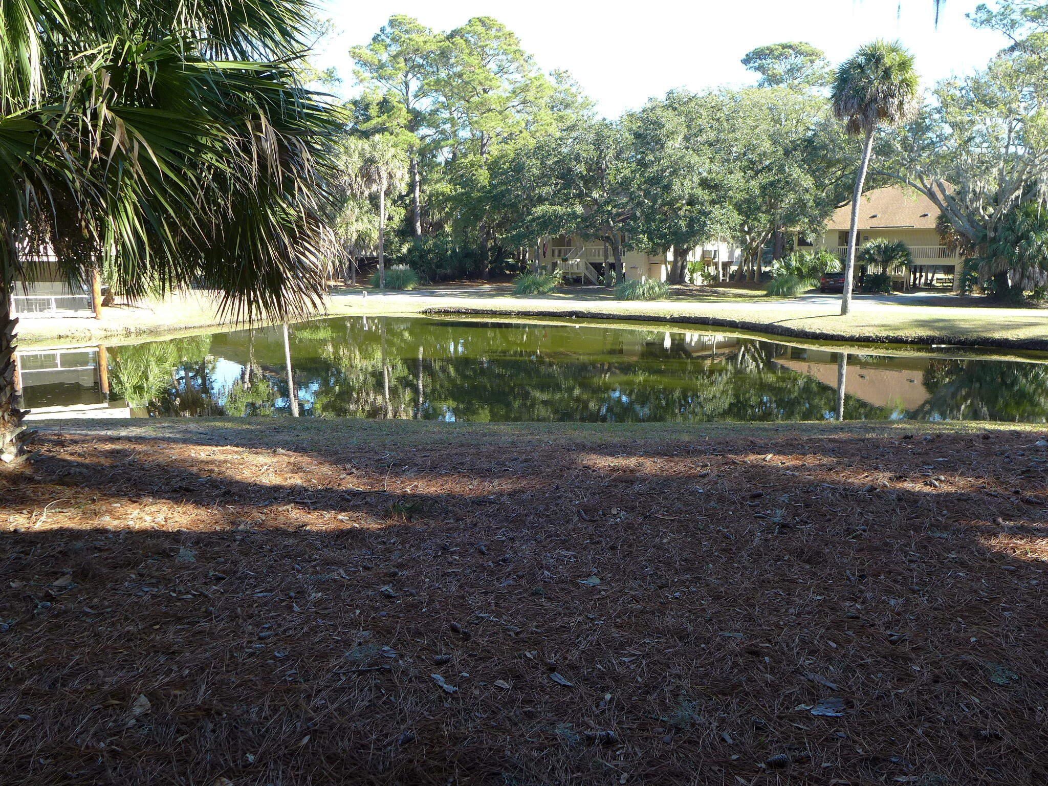 845 Club Cottage Road Edisto Island, SC 29438 - Photo 30 of 34 P1120098