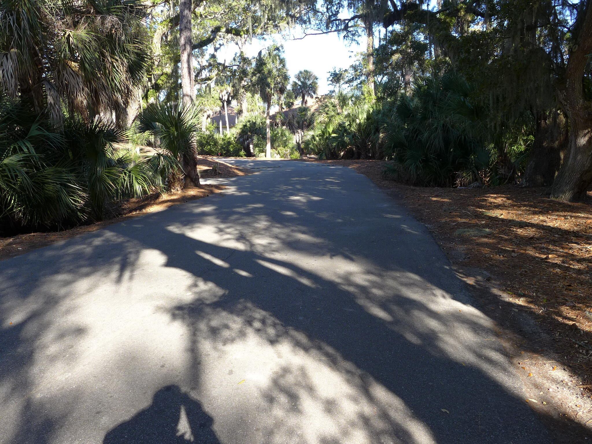 845 Club Cottage Road Edisto Island, SC 29438 - Photo 32 of 34 P1120094