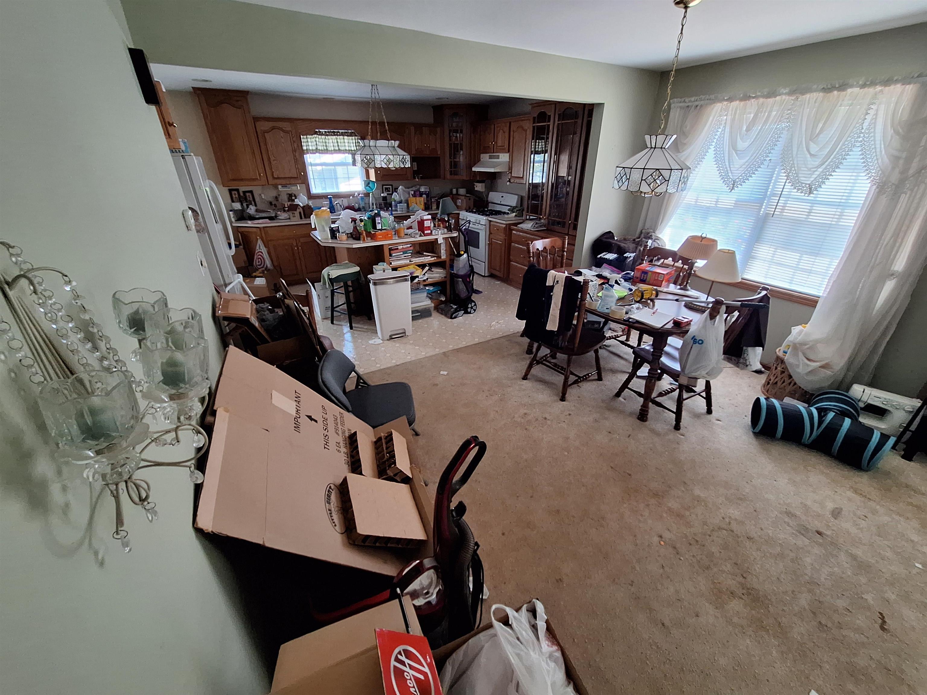 303 Prairie Street Spring Valley, IL 61362 - Photo 9 of 21 Gallery Image 9