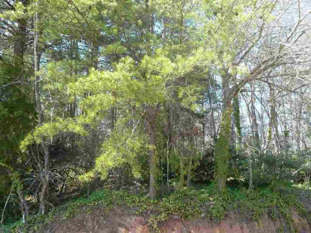Lot 13 Cherry Road Clemson, SC 29631 - Photo 1 of 3 Gallery Image 1