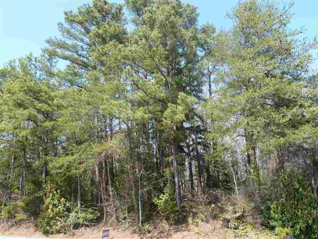 Lot 13 Cherry Road Clemson, SC 29631 - Photo 3 of 3 Gallery Image 3