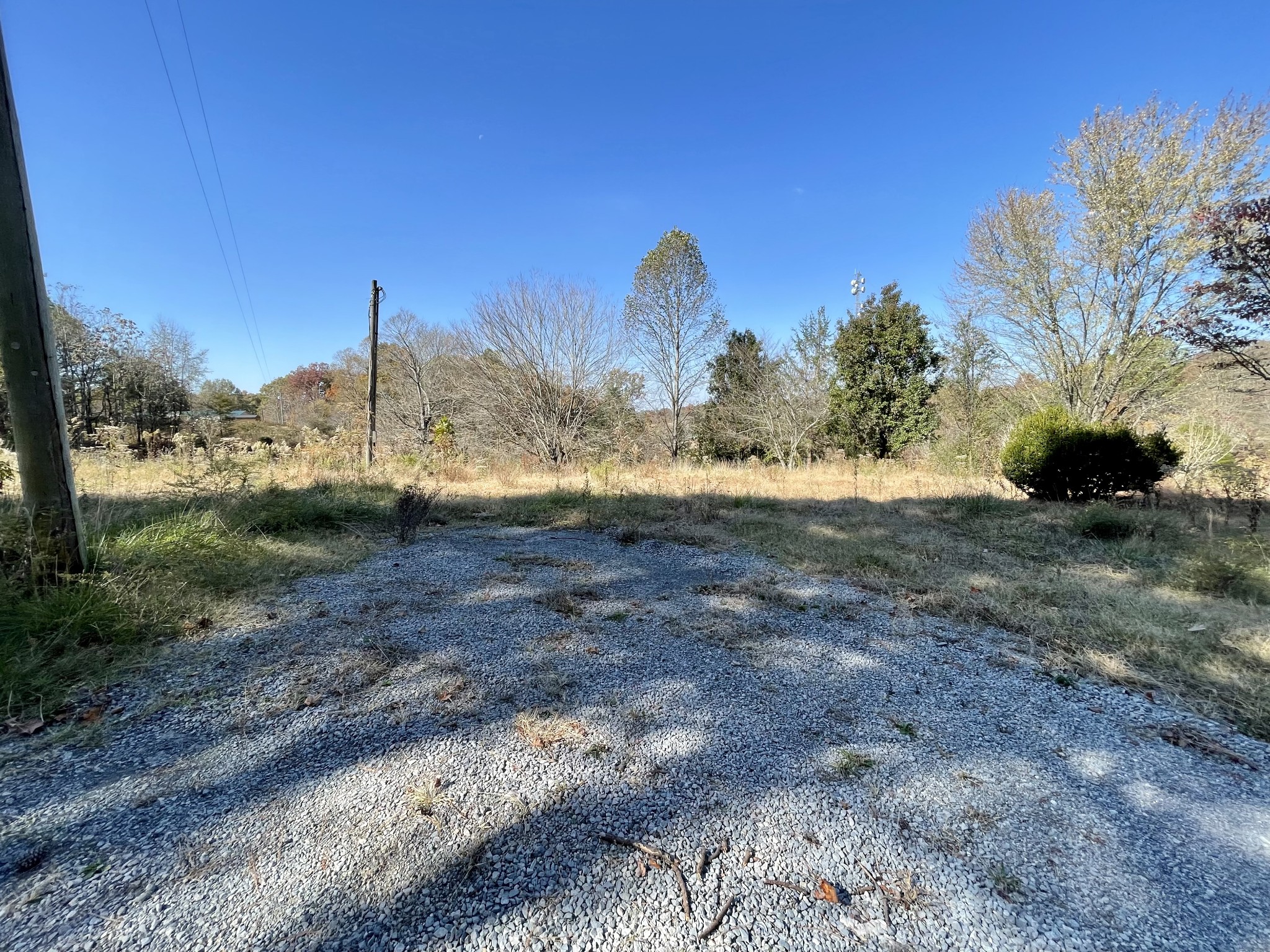 4081 Chestnut Ridge Road Santa Fe, TN 38482 - Photo 3 of 9 a view of a yard with a tree in the background