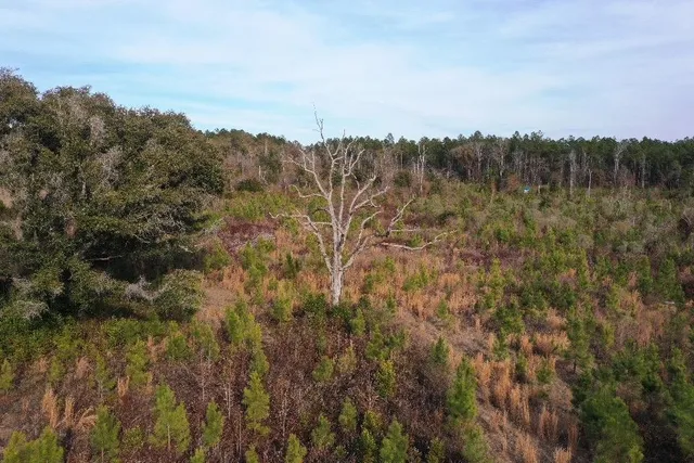 $566,250 | Xx Xx Greensboro Highway, Quincy, FL 32351