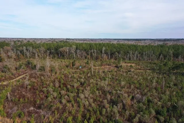 $566,250 | Xx Xx Greensboro Highway, Quincy, FL 32351