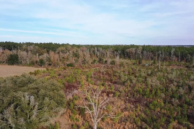 $566,250 | Xx Xx Greensboro Highway, Quincy, FL 32351