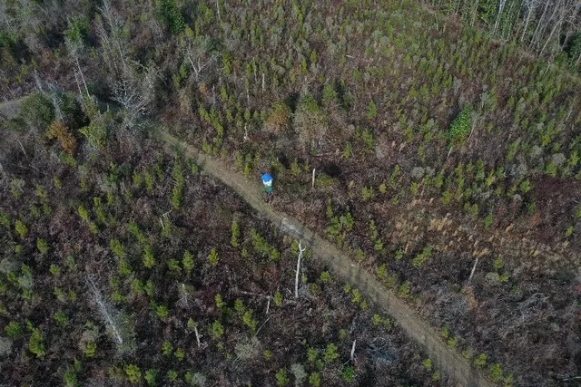 $566,250 | Xx Xx Greensboro Highway, Quincy, FL 32351