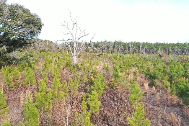 $566,250 | Xx Xx Greensboro Highway, Quincy, FL 32351