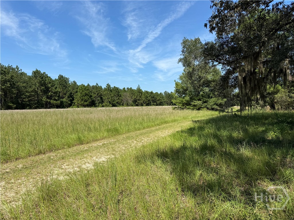0 Sunbury Road, Unit TRACT 6 Claxton, GA 30417 - Photo 2 of 8
