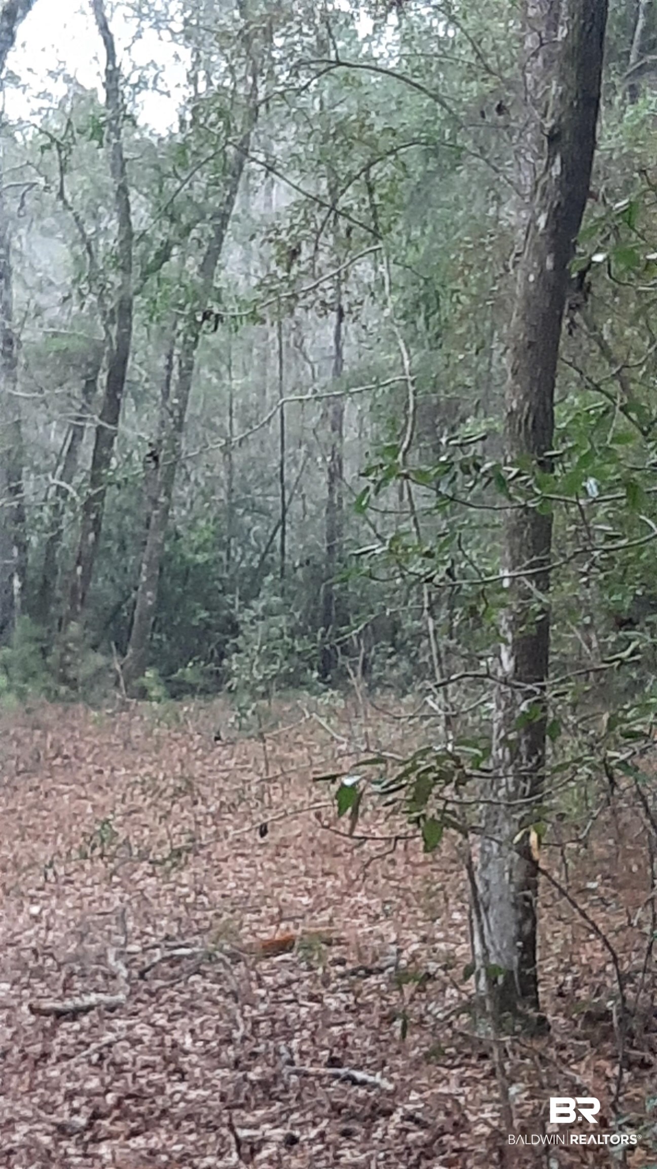 11375 Spring Lake Road Chunchula, AL 36521 - Photo 19 of 26