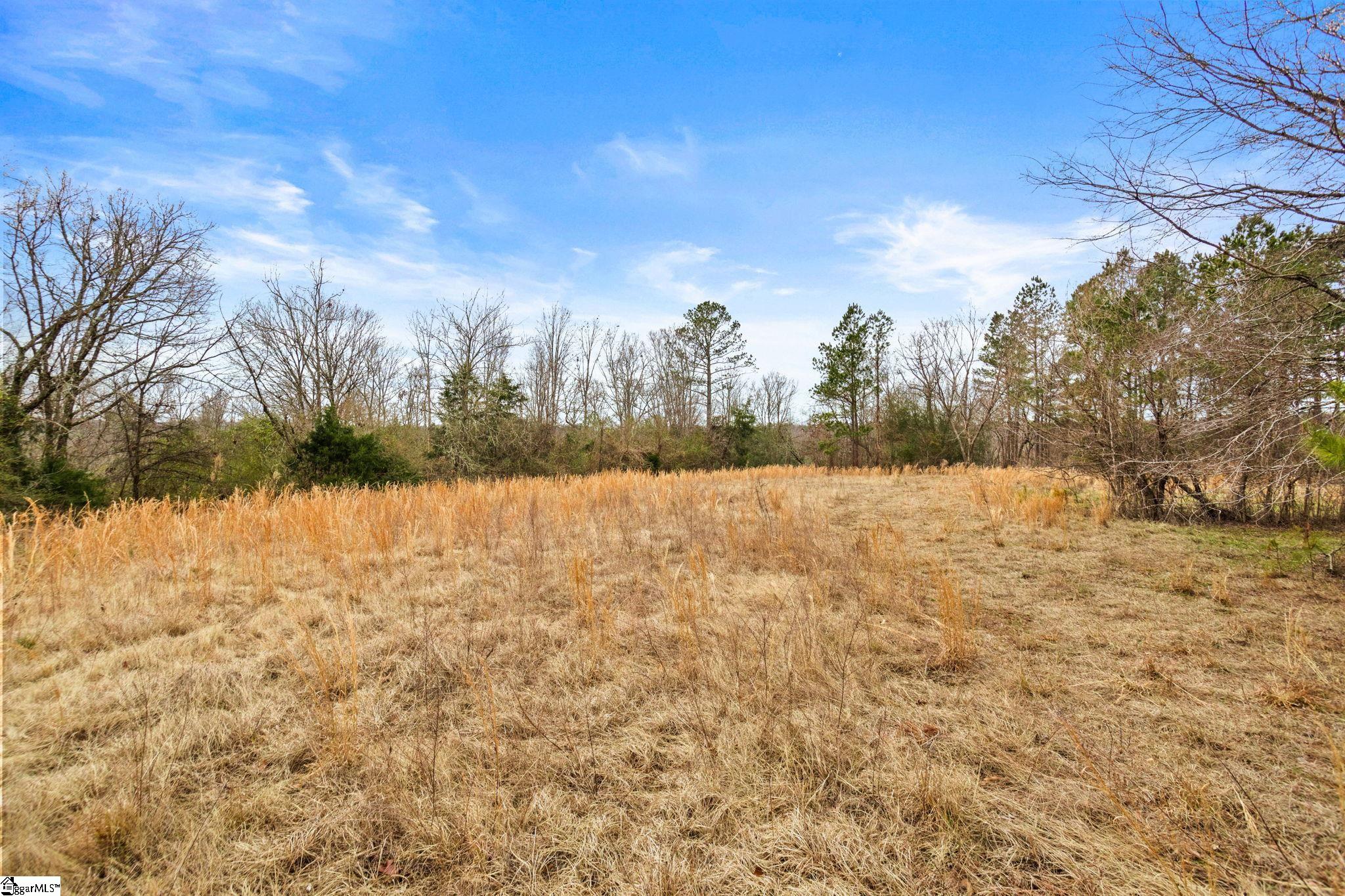 839 Duncan Creek Church Road Clinton, SC 29325 - Photo 42 of 50