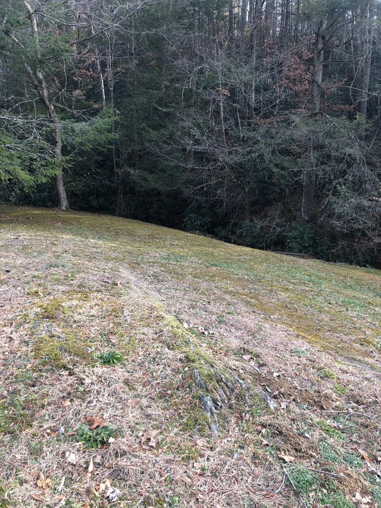 4293 Jones Cove Road Sevierville, TN 37876 - Photo 25 of 27