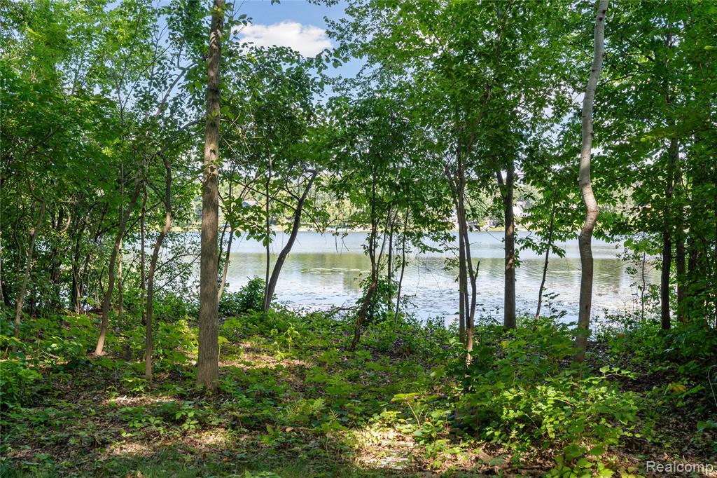 1441 Remsing Street Hartland, MI 48353 - Photo 50 of 59 Gallery Image 50