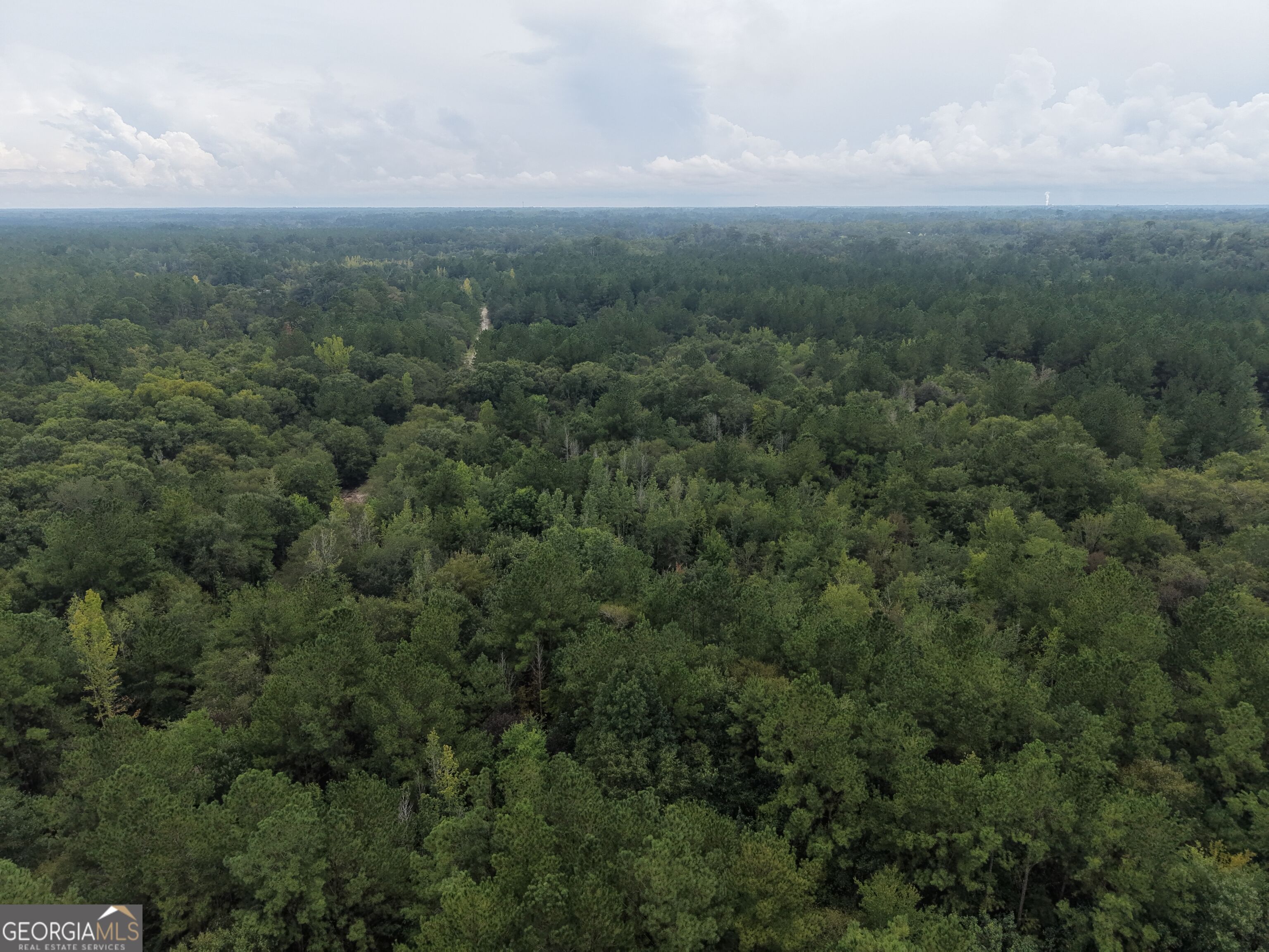 0 Jamestown Road Waycross, GA 31503 - Photo 10 of 92 Gallery Image 10