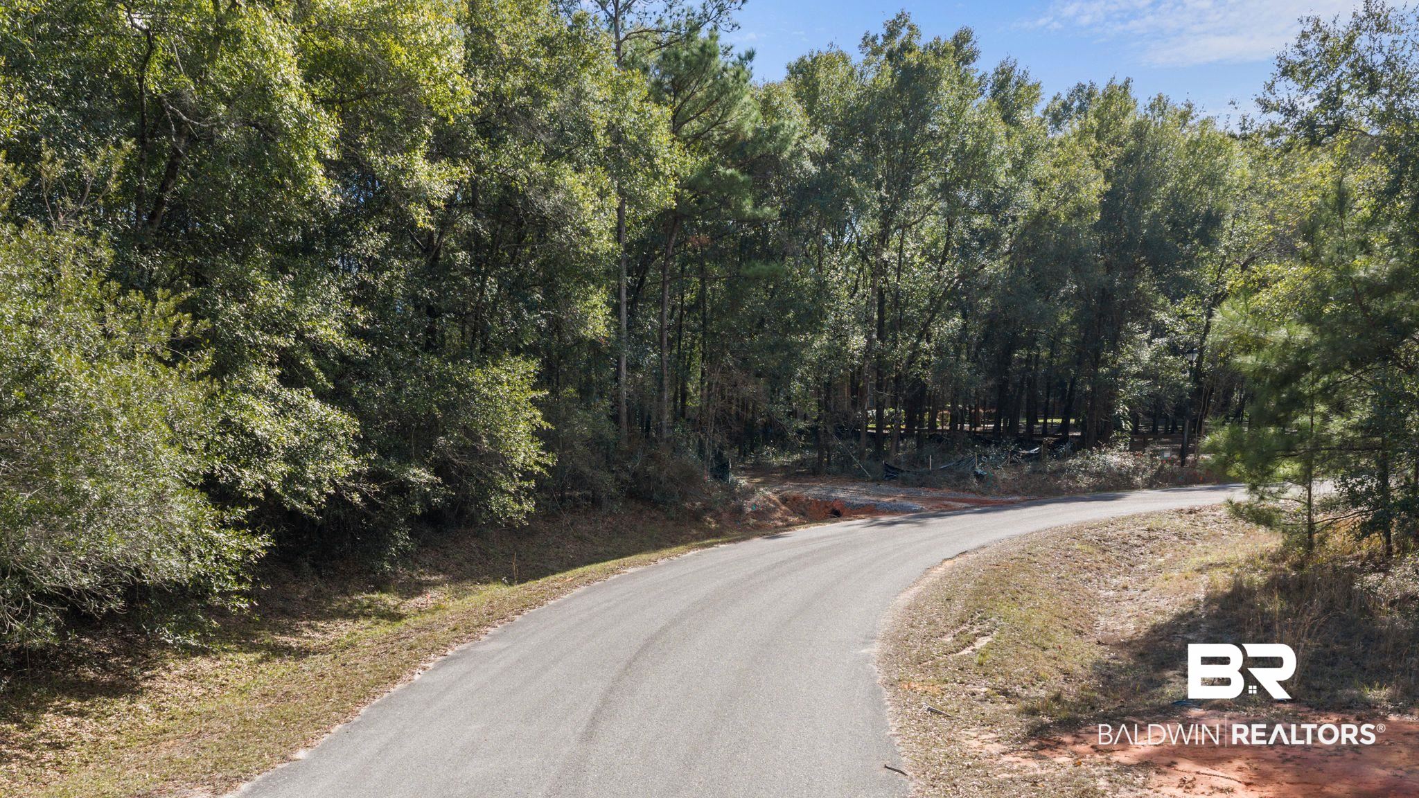 0 Pandion Drive Foley, AL 36535 - Photo 4 of 19