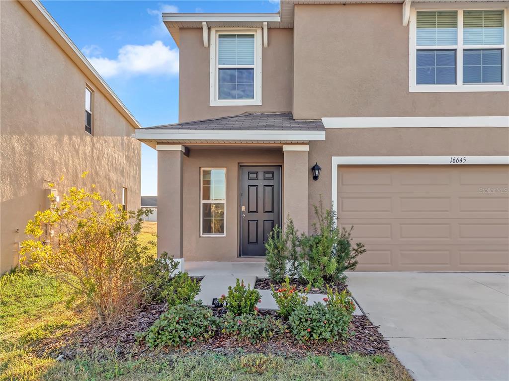 16645 Mosaic Oar Drive Wimauma, FL 33598 - Photo 5 of 43 a front view of a house having yard