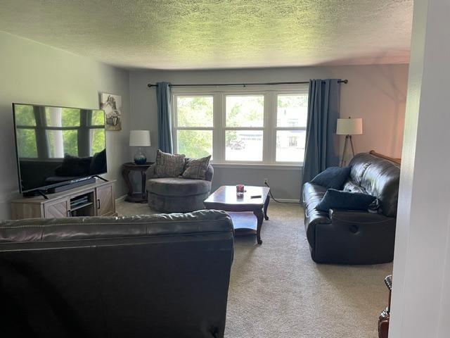 443 Duck Hollow Road Uniontown, PA 15401 - Photo 5 of 29