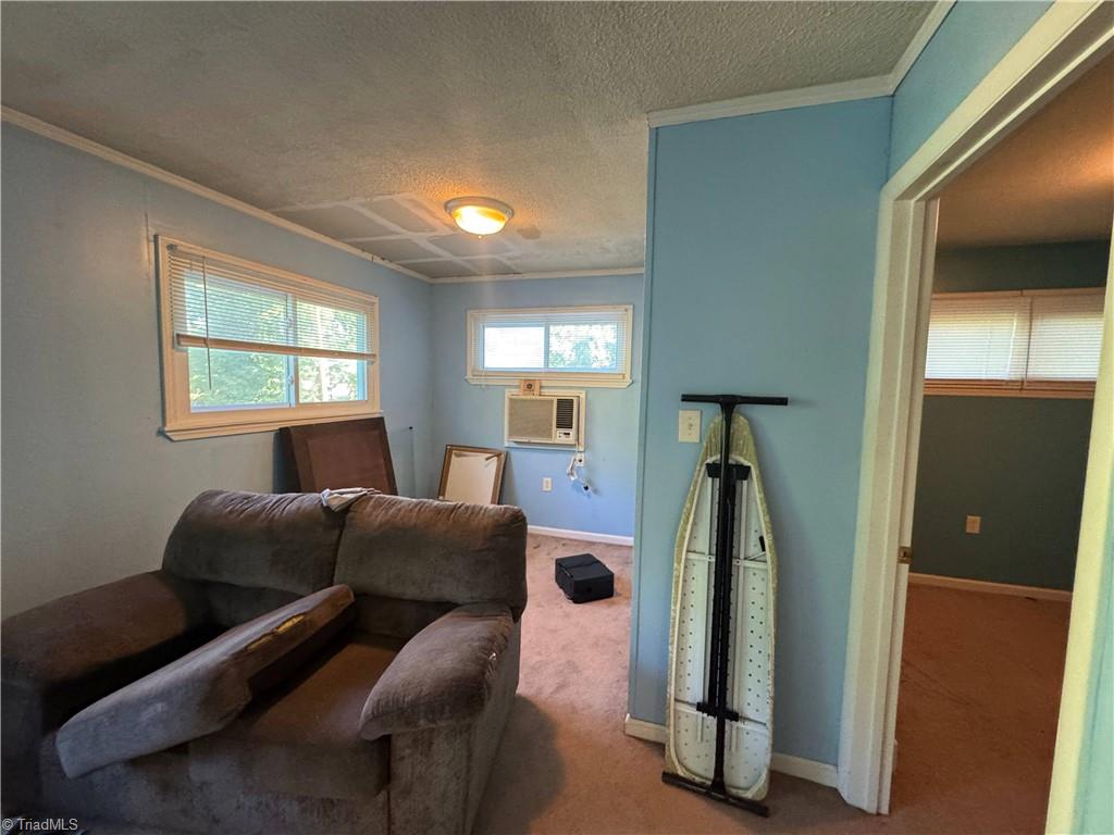 7410 Seldon Road Summerfield, NC 27358 - Photo 22 of 43