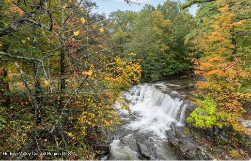 444 West Saugerties Road Saugerties, NY 12477 - Photo 20 of 20 a view of a yard with plants and trees