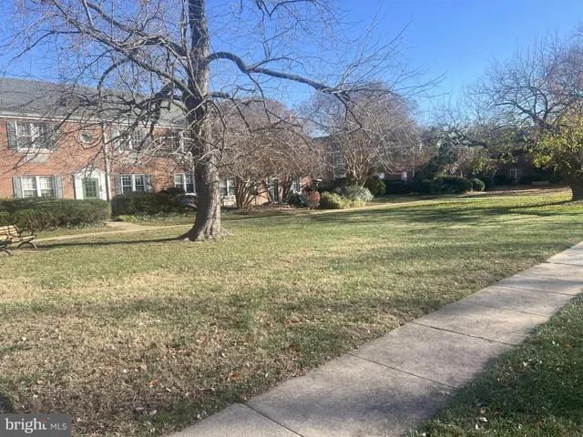 a view of a yard with a fountain