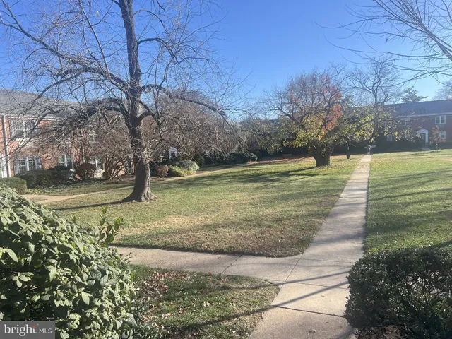 a view of a yard with large trees