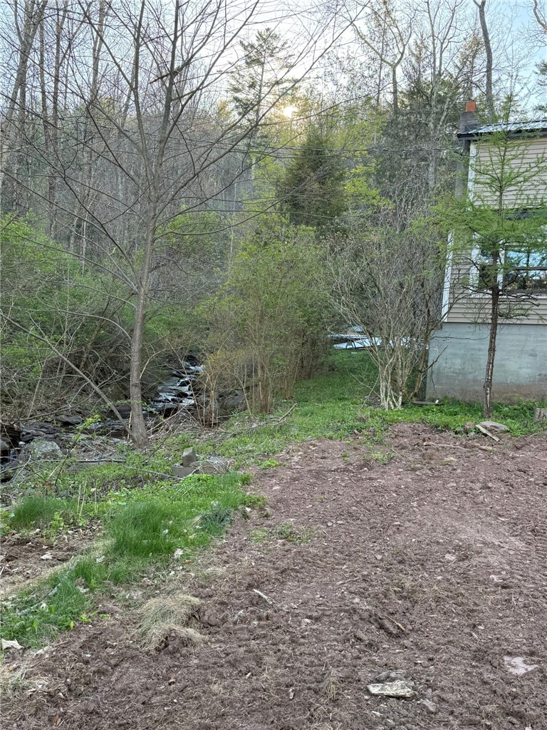 123 Shepard Lane Roxbury, NY 12474 - Photo 3 of 34