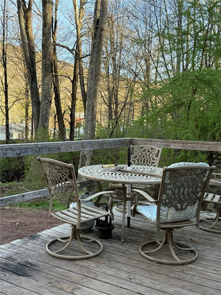 123 Shepard Lane Roxbury, NY 12474 - Photo 9 of 34