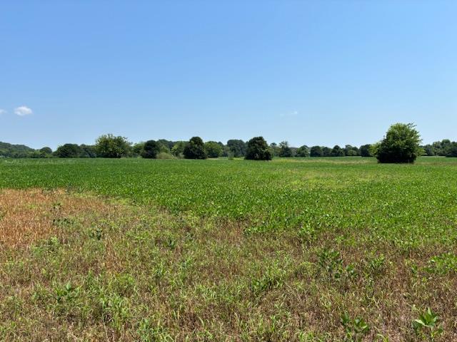 7 T Hungars Point, Unit 7T Machipongo, VA 23405 - Photo 9 of 32 a view of a big yard with a large tree and a plants