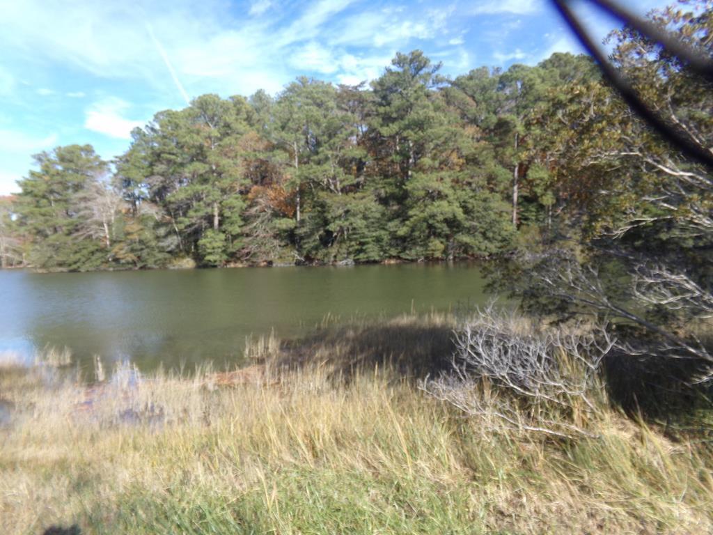 0 Old Neck Road, Unit O Exmore, VA 23350 - Photo 3 of 9