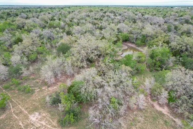 a view of a field with lots of trees