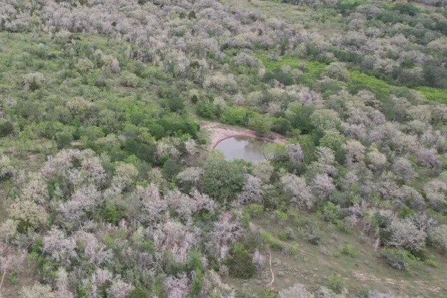 a view of a field with trees