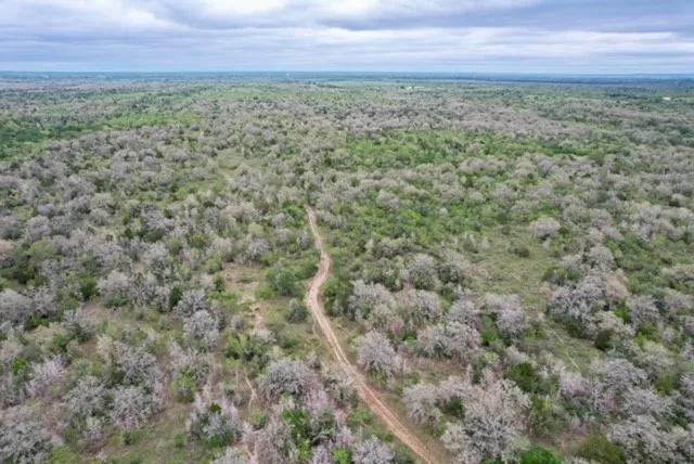 a view of a big yard with an outdoor space
