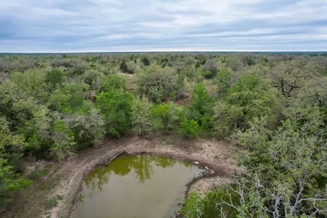 a view of a yard with a sink and wooden floor