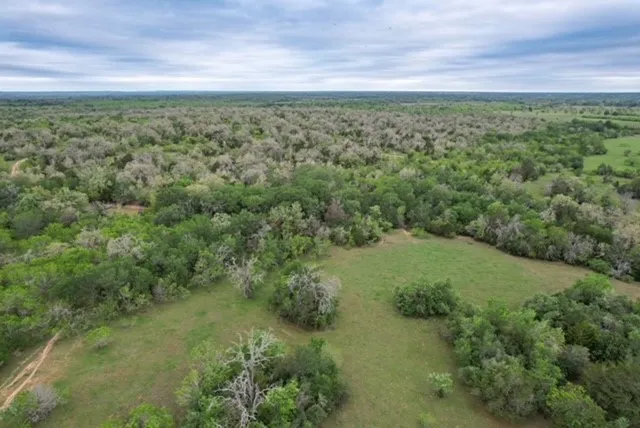a view of a yard with a street