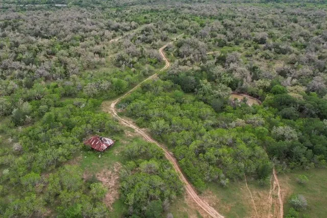 a view of a wooden bridge