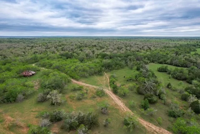 a view of a green field with lots of trees
