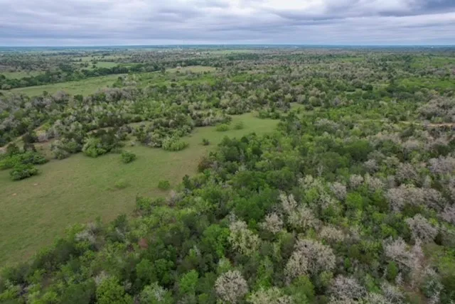 a view of a big yard with lots of green space