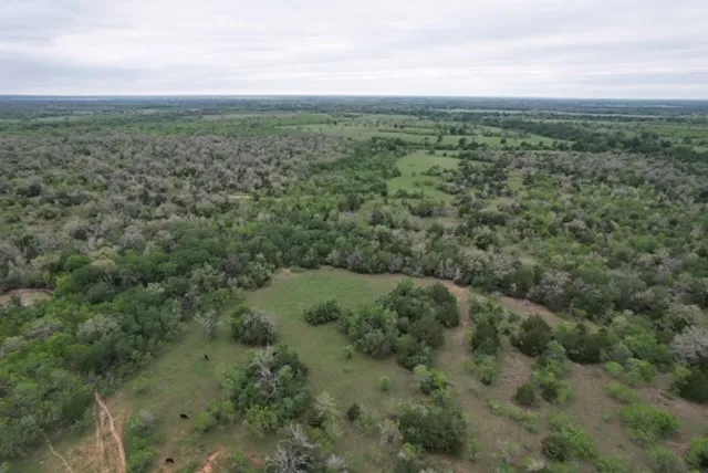 a view of a green field with lots of trees