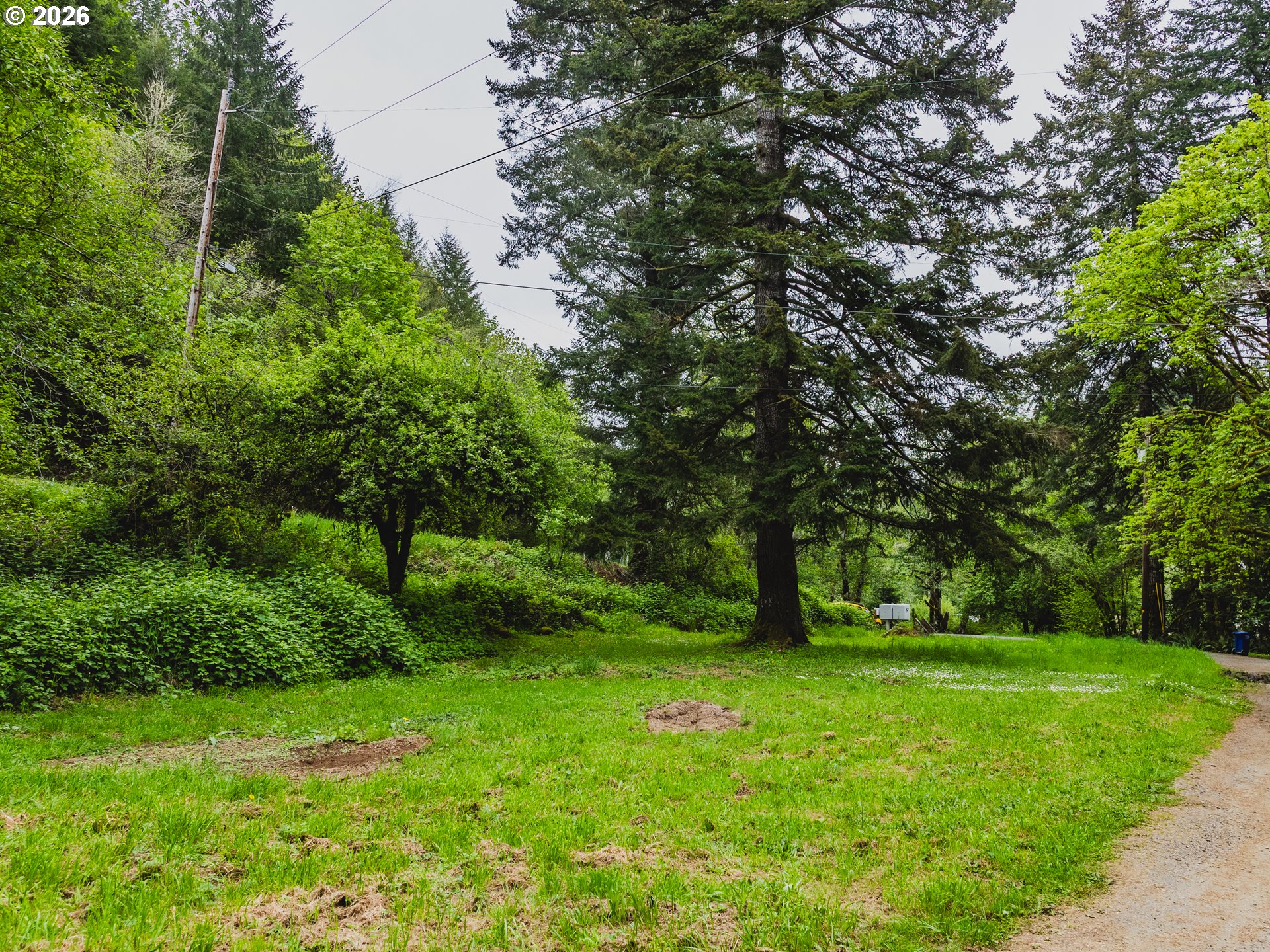 1100 North New Bridge Road Otis, OR 97368 - Photo 1 of 28 a view of green field with trees in the background