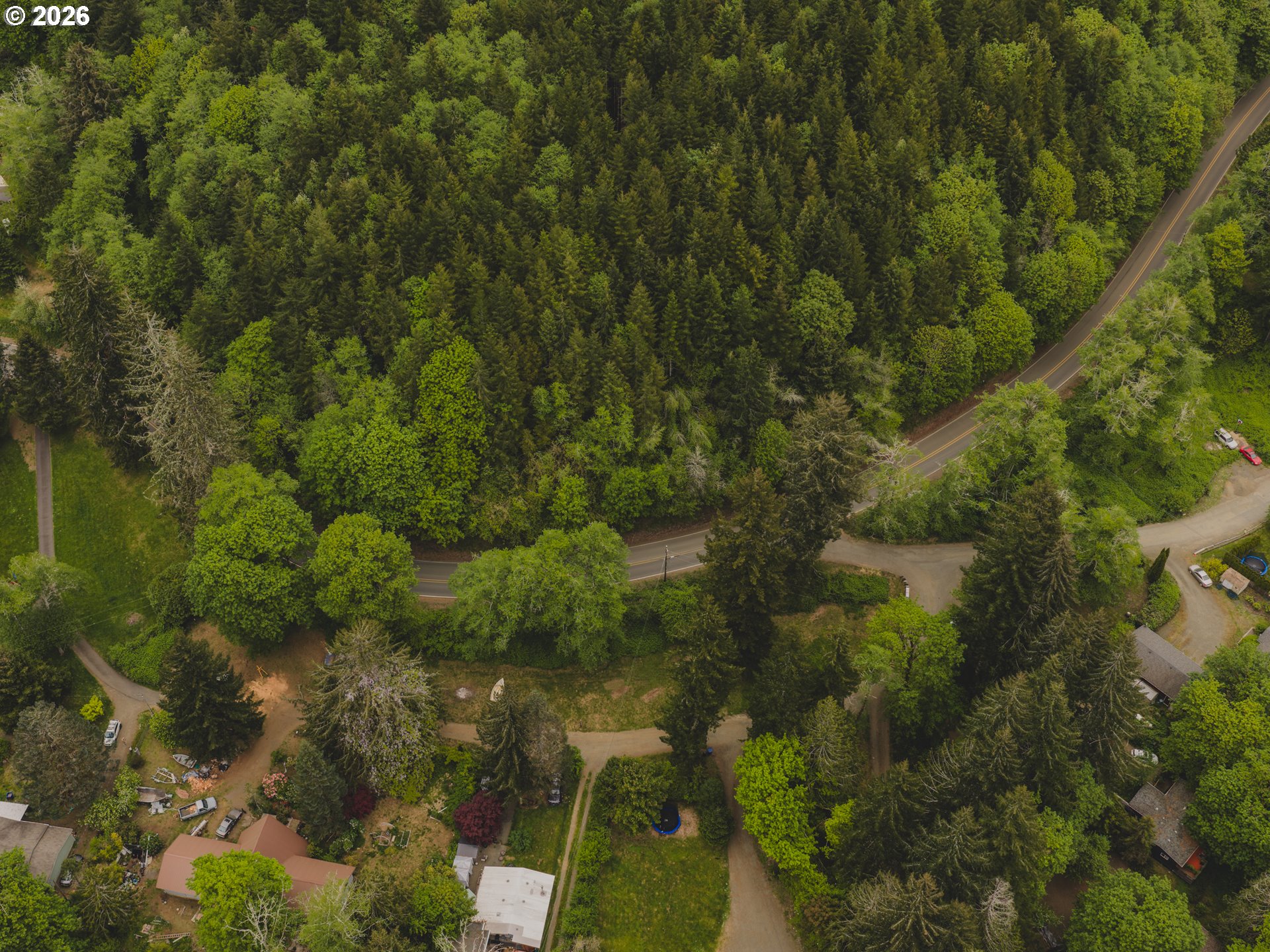 1100 North New Bridge Road Otis, OR 97368 - Photo 15 of 28 a view of a forest