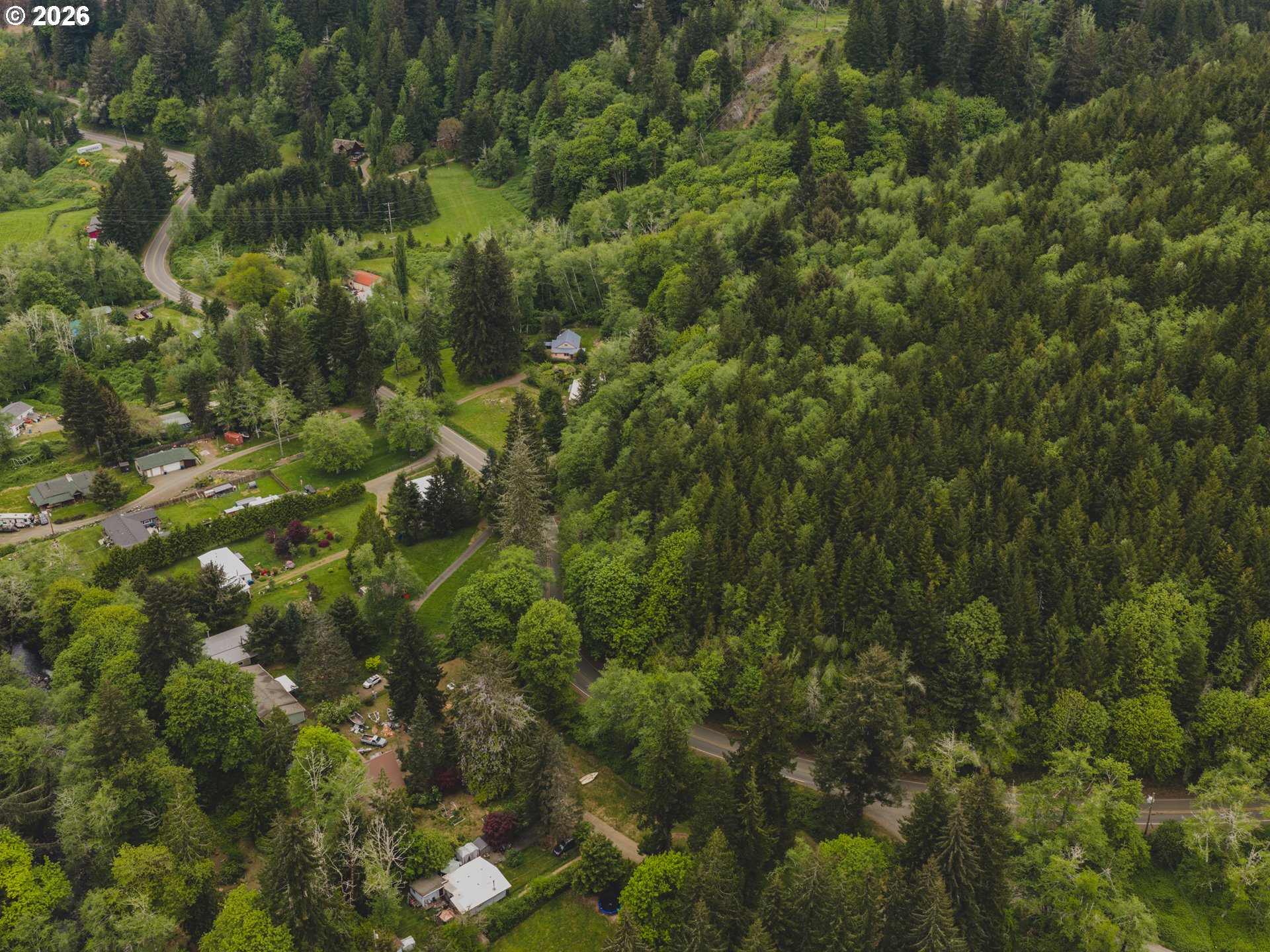 1100 North New Bridge Road Otis, OR 97368 - Photo 16 of 28 a view of a forest
