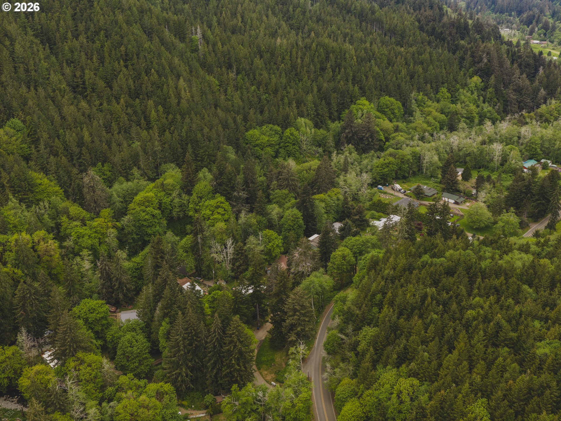 1100 North New Bridge Road Otis, OR 97368 - Photo 18 of 28 a view of a forest