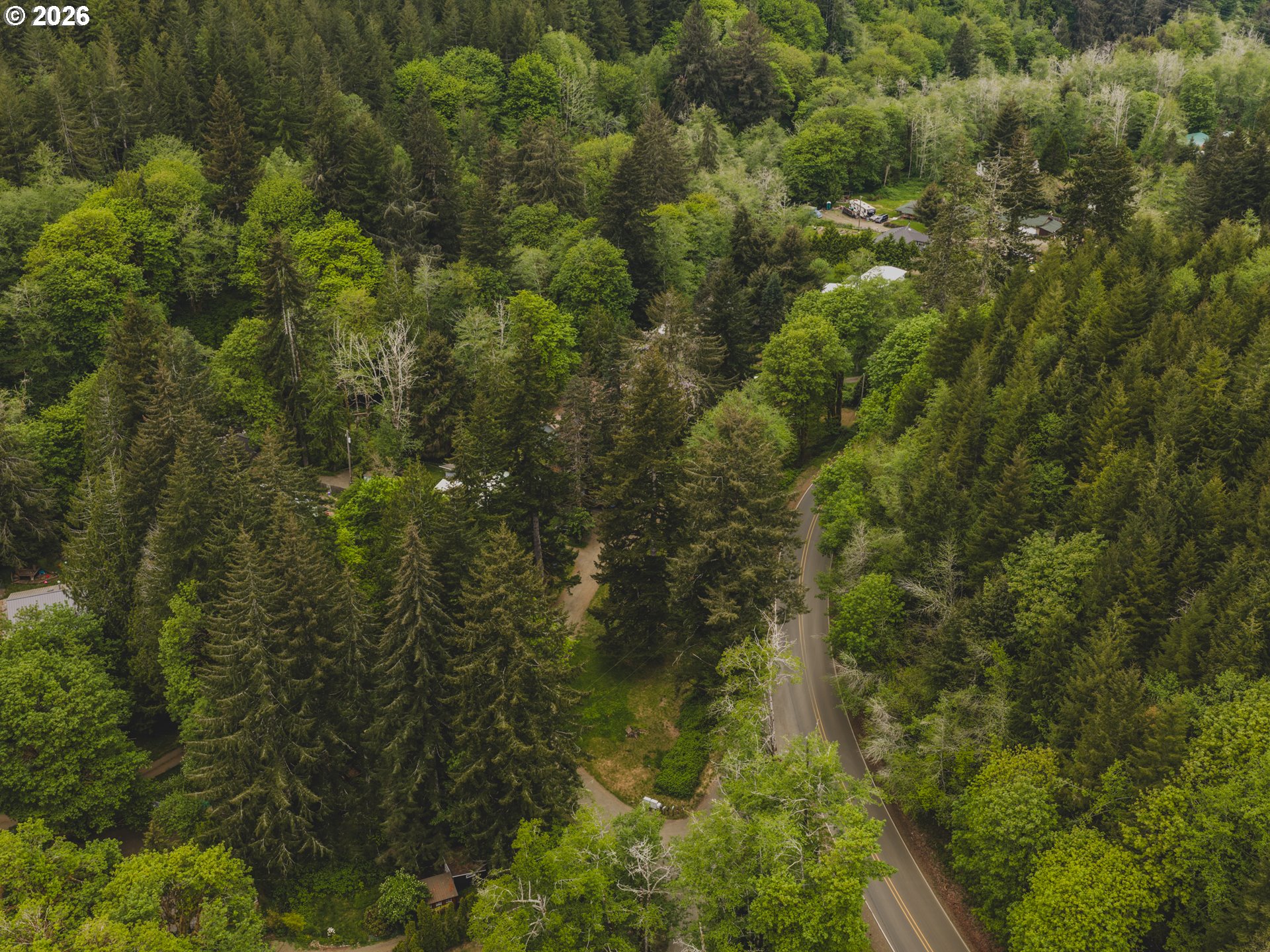 1100 North New Bridge Road Otis, OR 97368 - Photo 19 of 28 a view of a forest