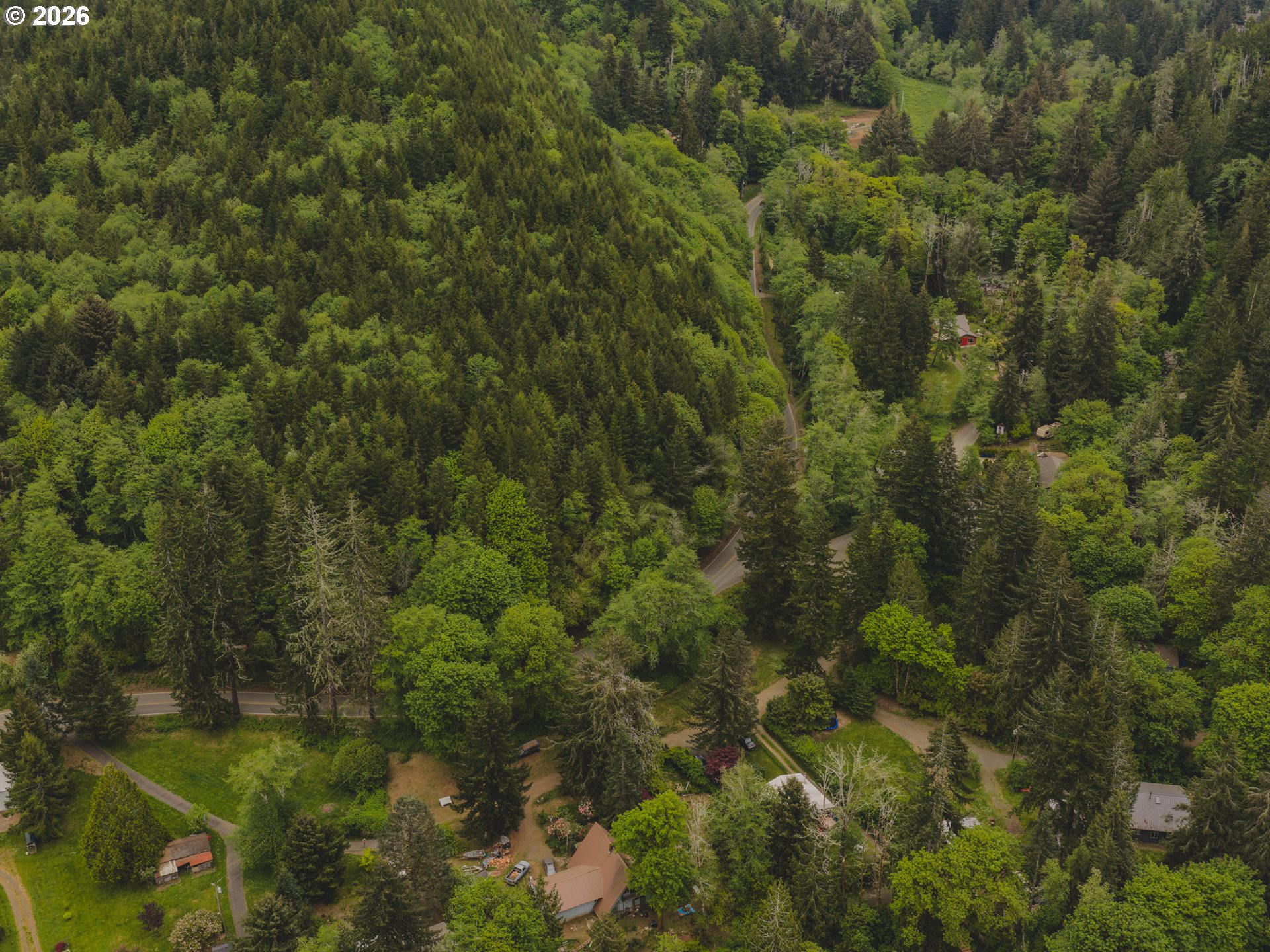 1100 North New Bridge Road Otis, OR 97368 - Photo 20 of 28 a view of a forest