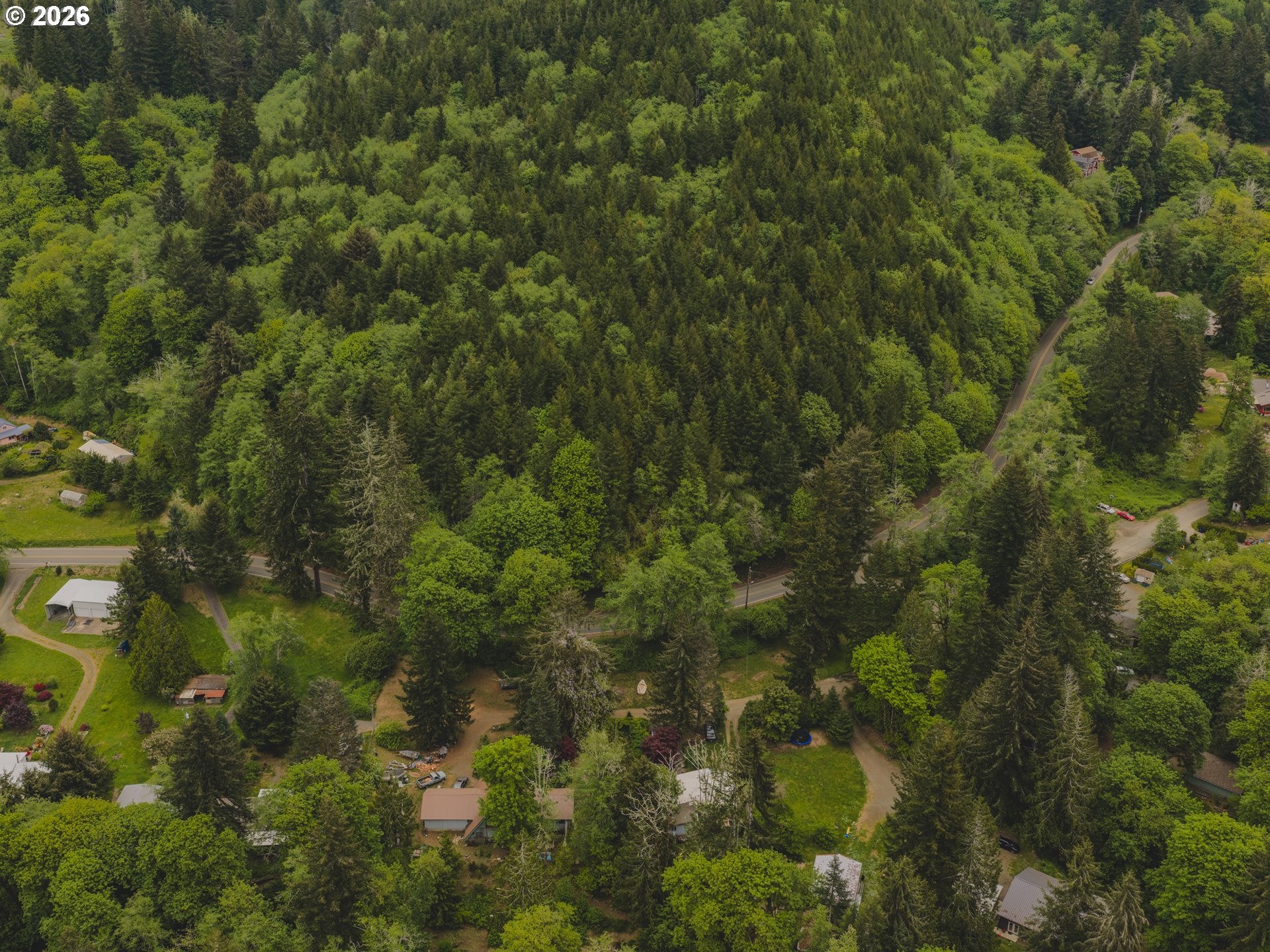1100 North New Bridge Road Otis, OR 97368 - Photo 21 of 28 a view of a forest