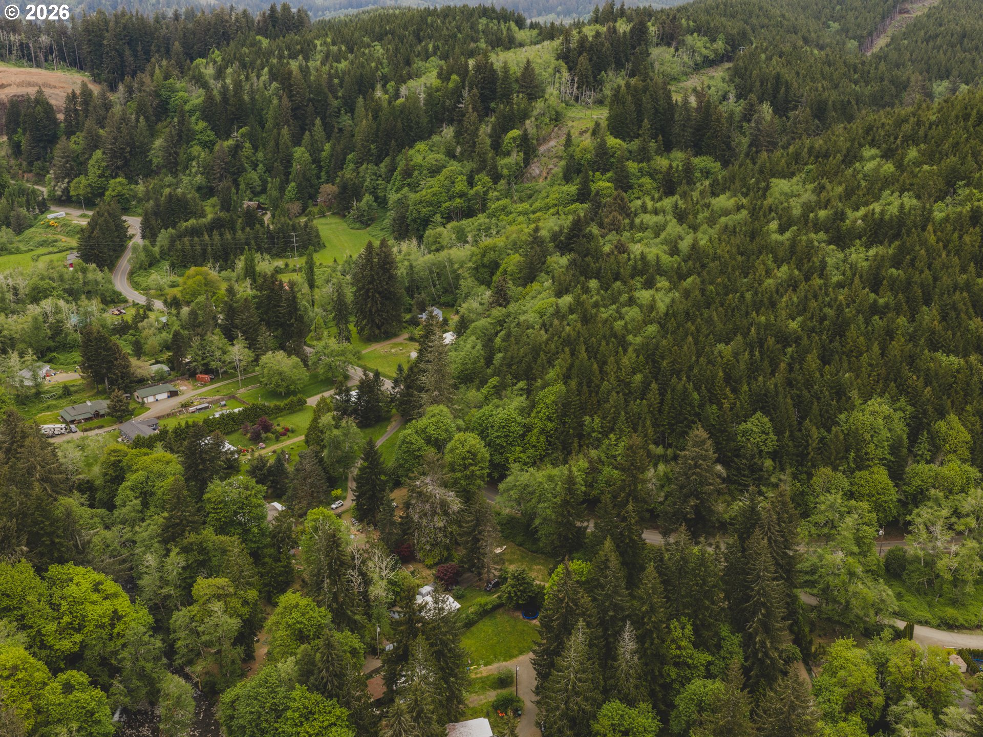 1100 North New Bridge Road Otis, OR 97368 - Photo 22 of 28 a view of a forest
